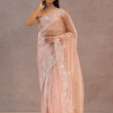 Soft Salmon Pink Organza Saree Embroidery With Scallop Border