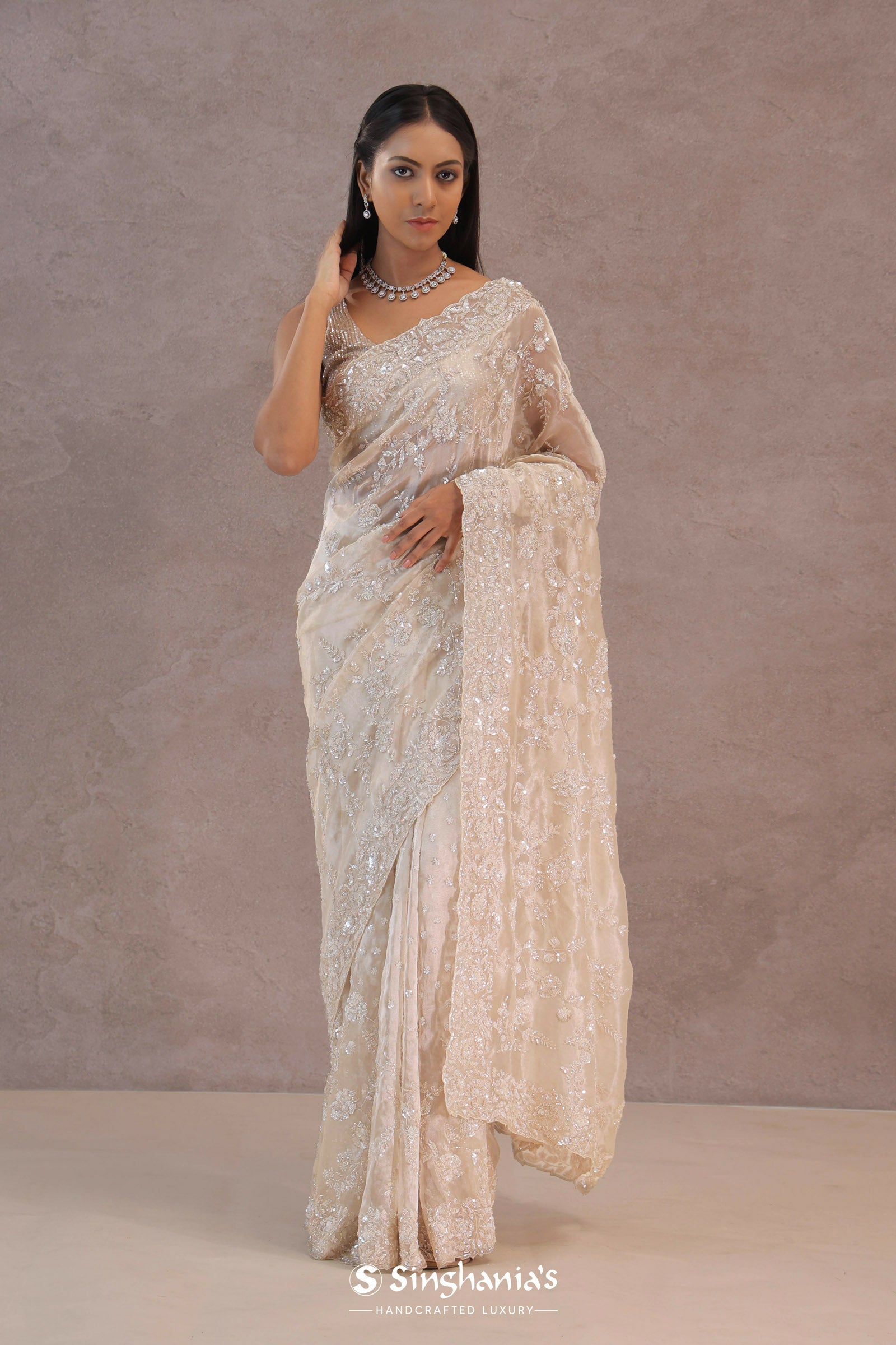 Bone White Tissue Organza Saree With Embroidery Border