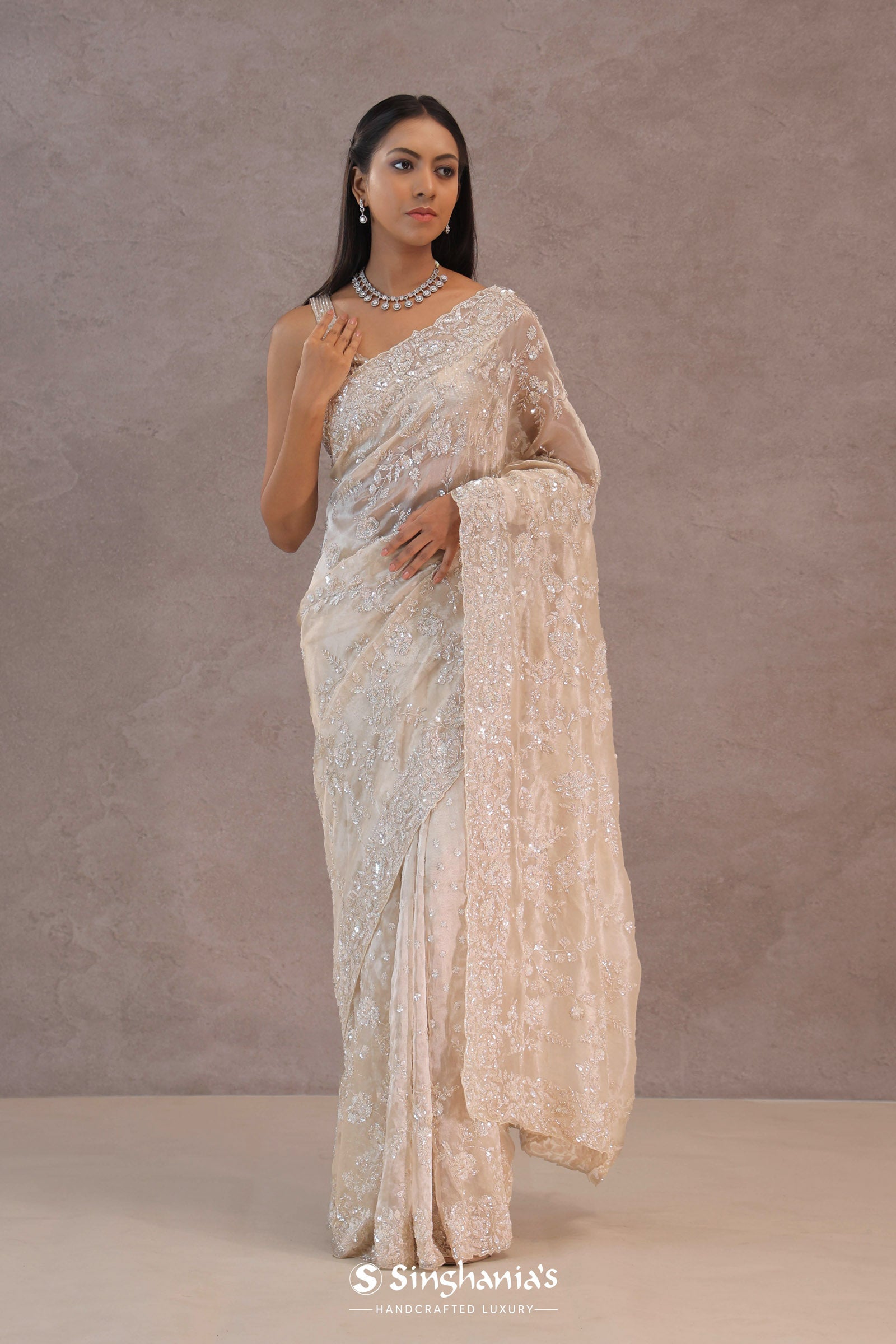 Bone White Tissue Organza Saree With Embroidery Border