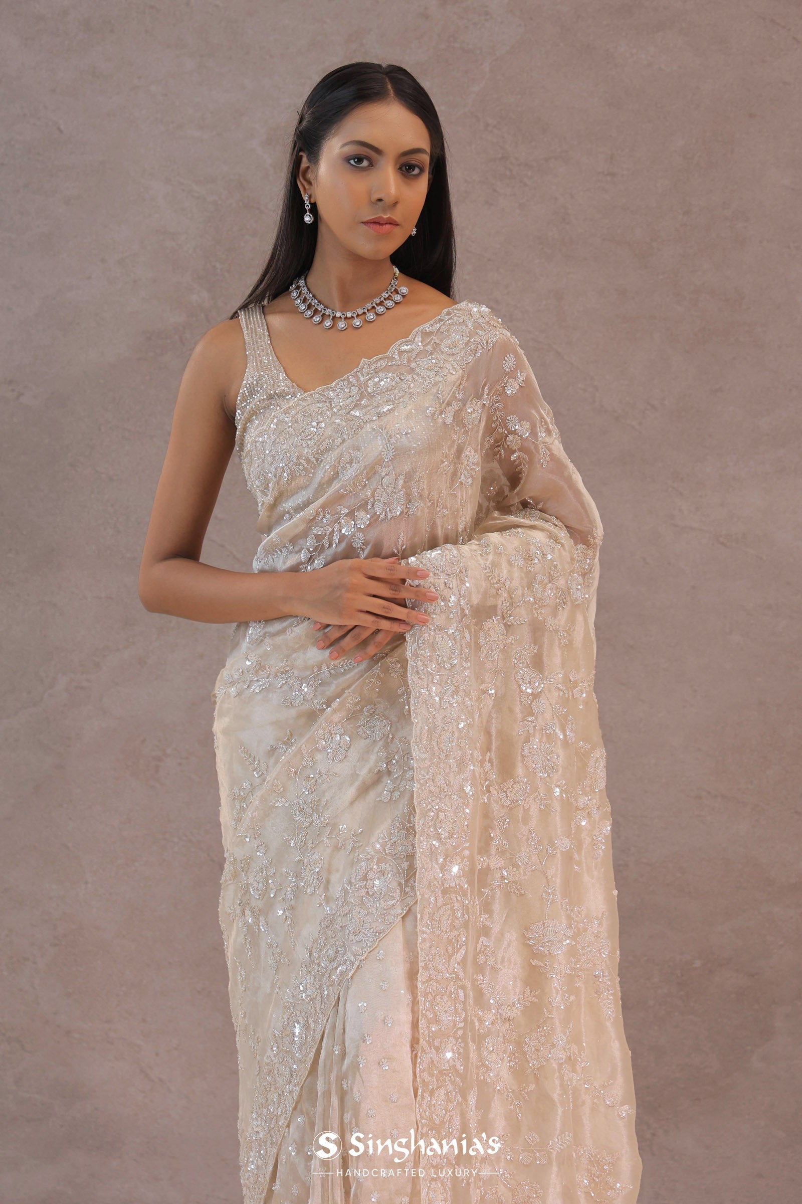 Bone White Tissue Organza Saree With Embroidery Border