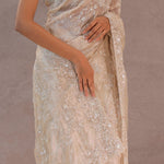 Bone White Tissue Organza Saree With Embroidery Border