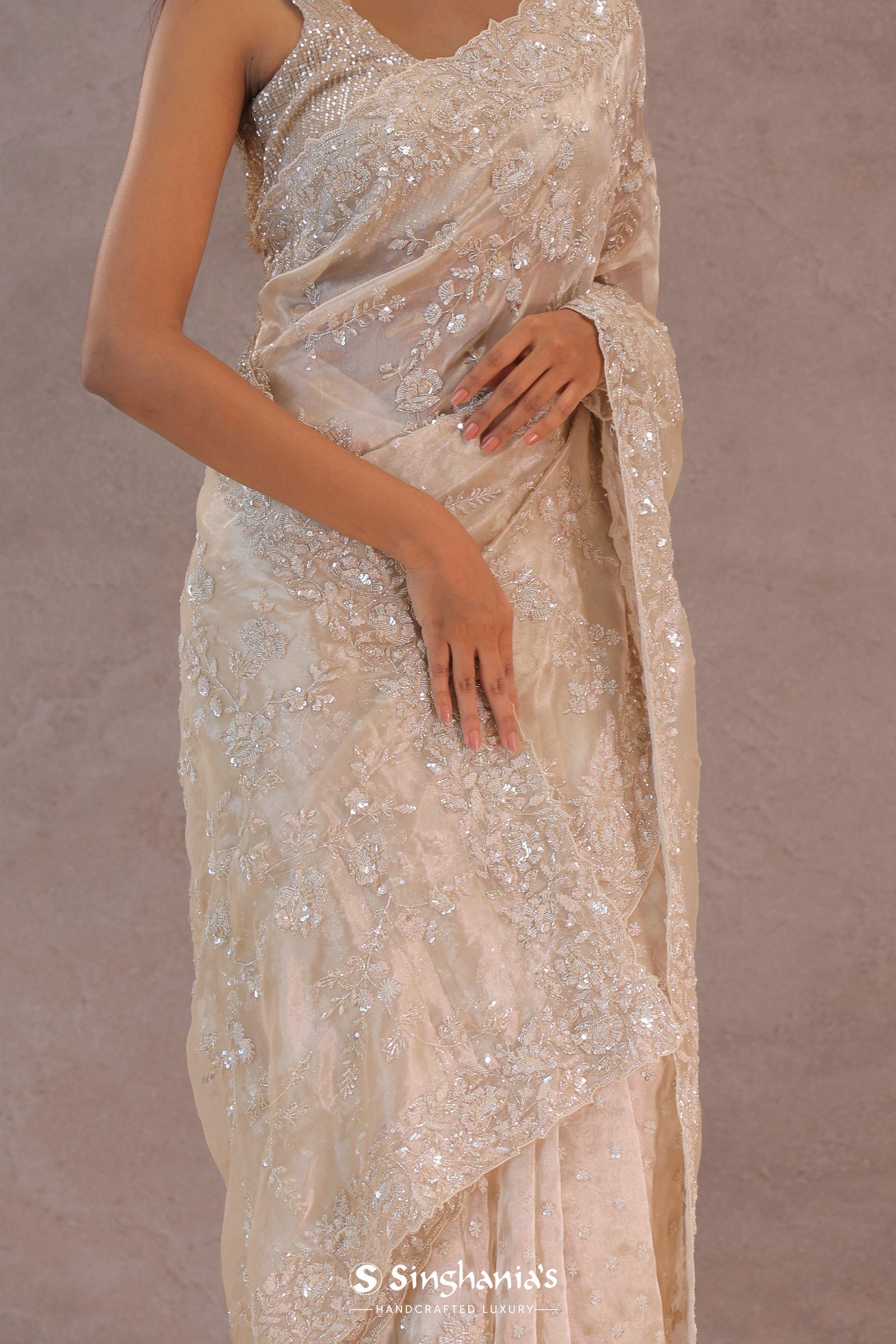 Bone White Tissue Organza Saree With Embroidery Border