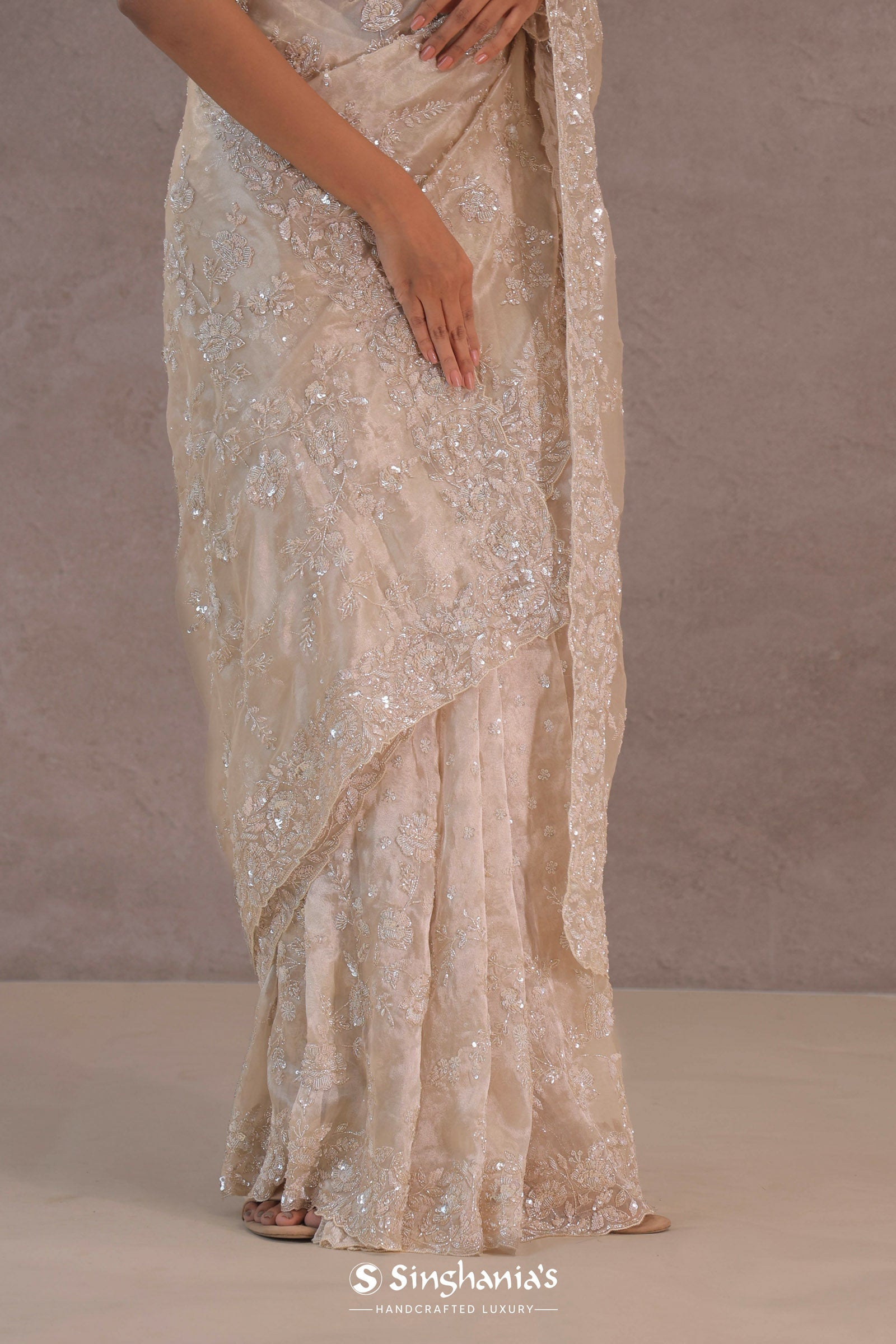 Bone White Tissue Organza Saree With Embroidery Border