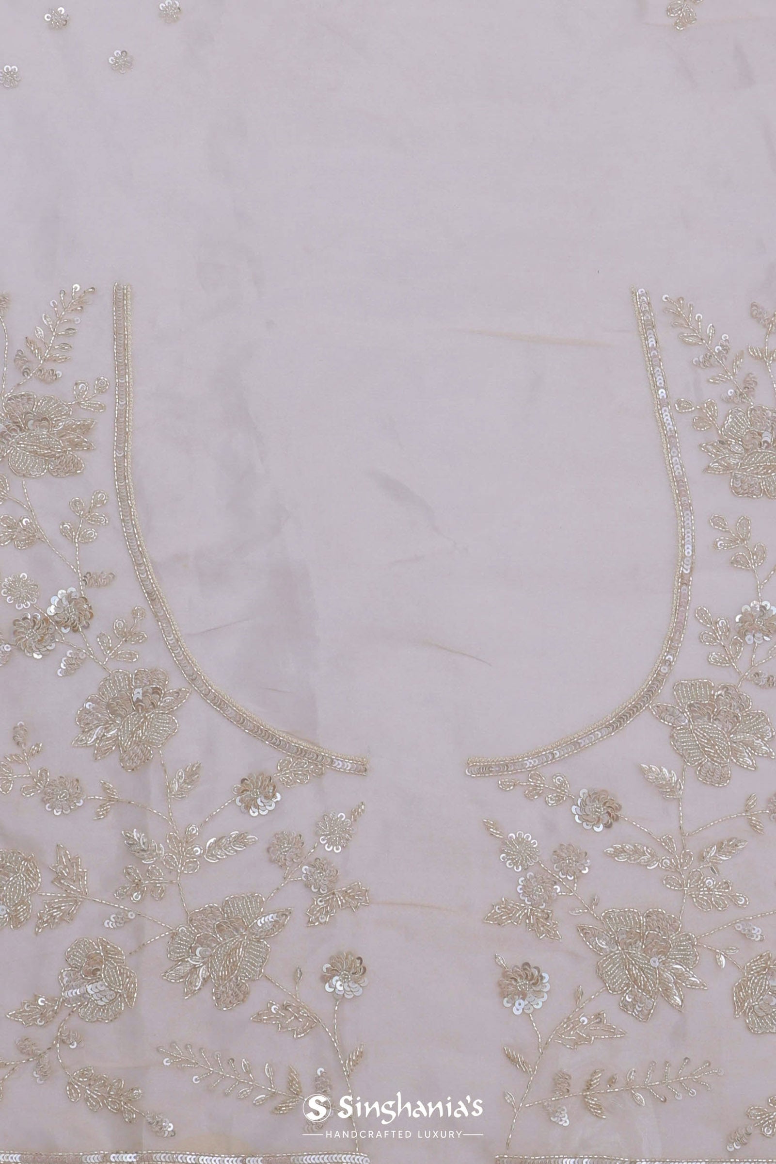 Bone White Tissue Organza Saree With Embroidery Border