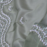 Antique Jade Organza Tissue Saree With Fancy Border