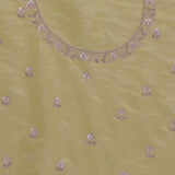 Light Yellow Organza Embroidery Saree With Scallop Border