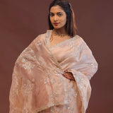Soft Salmon Pink Organza Embroidery Saree With Scallop Border