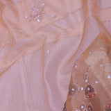 Salmon Pink Crushed Tissue Organza Embroidery Saree With Golden Border