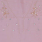 Soft Salmon Pink Organza Embroidery Saree With Scallop Border