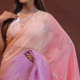 Multi Coloured Organza Embroidery Saree With Scallop Border