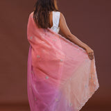 Multi Coloured Organza Embroidery Saree With Scallop Border