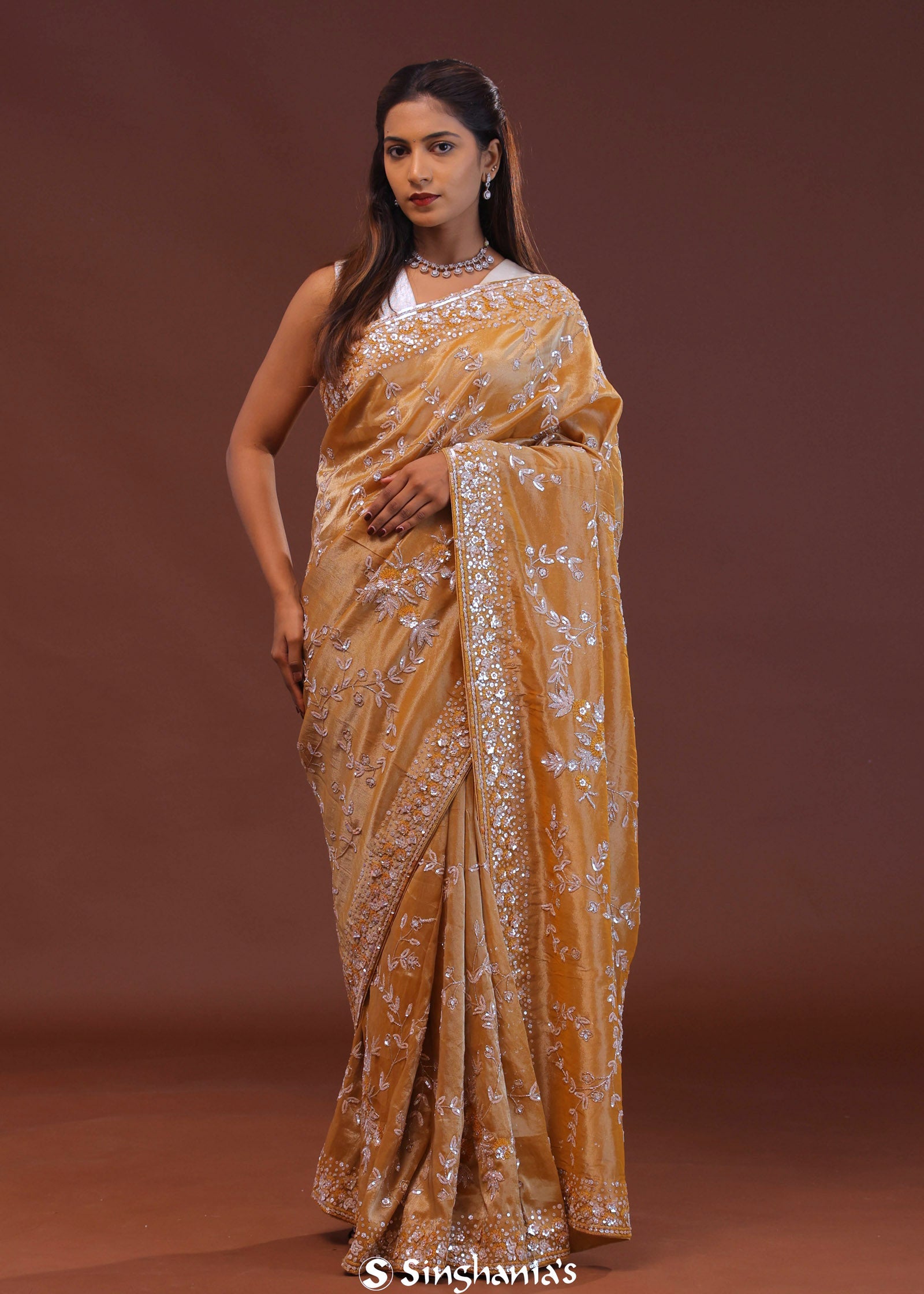 Brown Tissue Embroidery Saree With Scallop Border