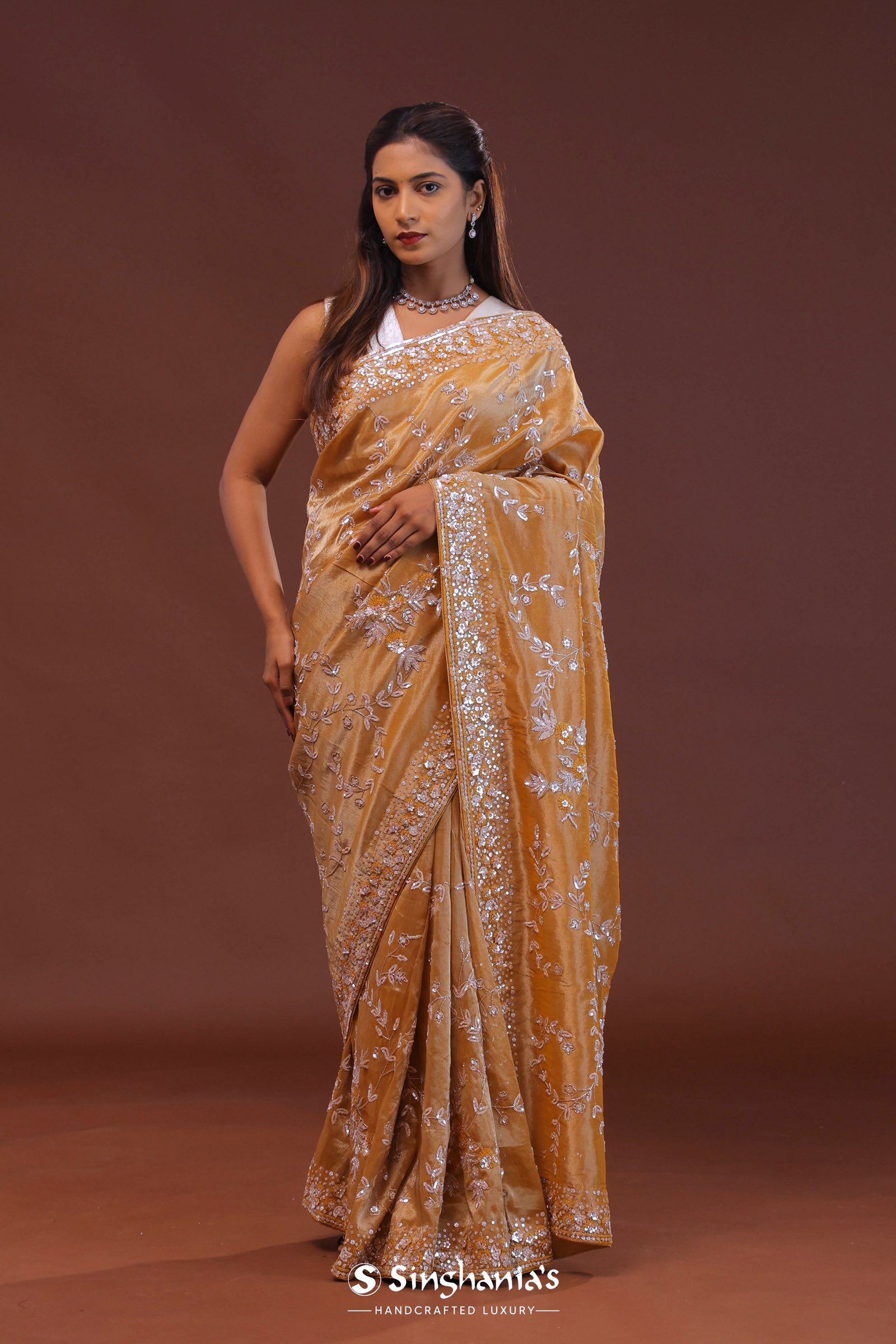 Brown Tissue Embroidery Saree With Scallop Border