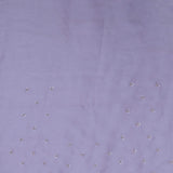 Blueish Silver Tissue Saree With Scallop Border