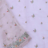 Soft Light Lime Green Organza Tissue Saree