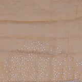 Classic Yellow Organza Saree With Parsi Embroidery