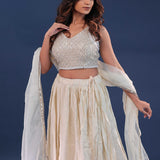 Light Cream Crushed Organza Lehenga Set