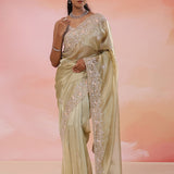 Warm Gray Organza Tissue Saree With Fancy Border