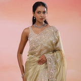 Warm Gray Organza Tissue Saree With Fancy Border