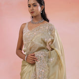 Warm Gray Organza Tissue Saree With Fancy Border