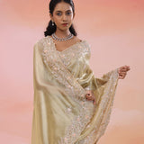 Warm Gray Organza Tissue Saree With Fancy Border