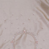 Warm Gray Organza Tissue Saree With Fancy Border