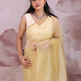 Light French Beige Organza Saree With Embroidery Work