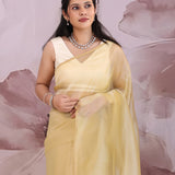 Light French Beige Organza Saree With Embroidery Work
