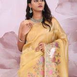 Dark Beige Tissue Saree With Embroidery Work