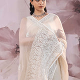 Warm Grey Organza Saree With Embroidery