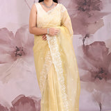 Dark Beige Organza Tissue Saree With Scallop Border