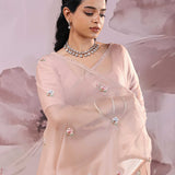 Rosy Brown Organza Saree With Petit Embroidery