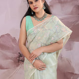 Pastel Green Organza Saree With Embroidery Work