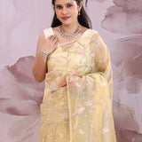 Ecru Beige Organza Saree With Embroidery Work