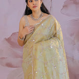 Golden Fancy Tissue Saree With Designer Border