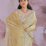 Golden Fancy Tissue Saree With Designer Border