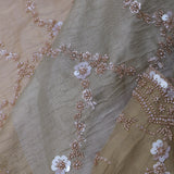 Golden Fancy Tissue Saree With Designer Border