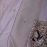 Light Cream Gray Organza Tissue Saree With Scallop Border