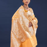 Clay Brown Banarasi Saree With Floral Weaving
