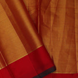 Mint Green Kanjivaram Tissue Saree With Motifs