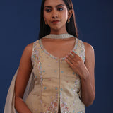 Pastel Beige Organza Crush Indo Western Choli Set