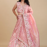 Soft Pink Organza Tissue Lehenga Set