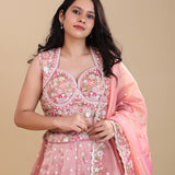 Soft Pink Organza Tissue Lehenga Set