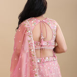Soft Pink Organza Tissue Lehenga Set