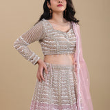 Beige Netted Lehenga Set