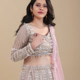 Beige Netted Lehenga Set