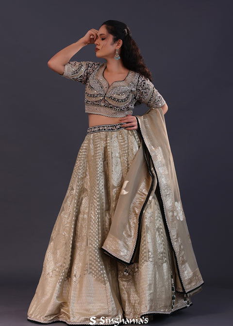 <img> Silver Beige Banarasi Silk Embroidered Lehenga Set