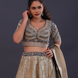 Silver Beige Banarasi Silk Embroidered Lehenga Set