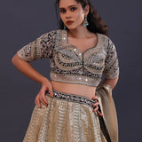 Silver Beige Banarasi Silk Embroidered Lehenga Set