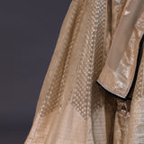Silver Beige Banarasi Silk Embroidered Lehenga Set